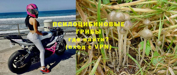 каннабис Богородицк
