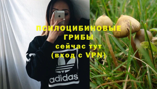 марки nbome Беломорск